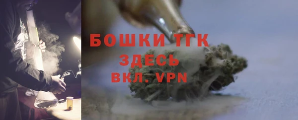ГАЛЛЮЦИНОГЕННЫЕ ГРИБЫ Абаза