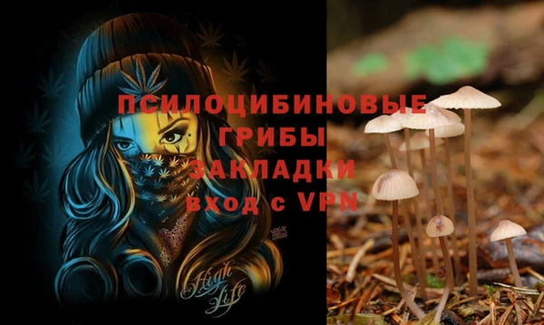 ГАЛЛЮЦИНОГЕННЫЕ ГРИБЫ Абаза