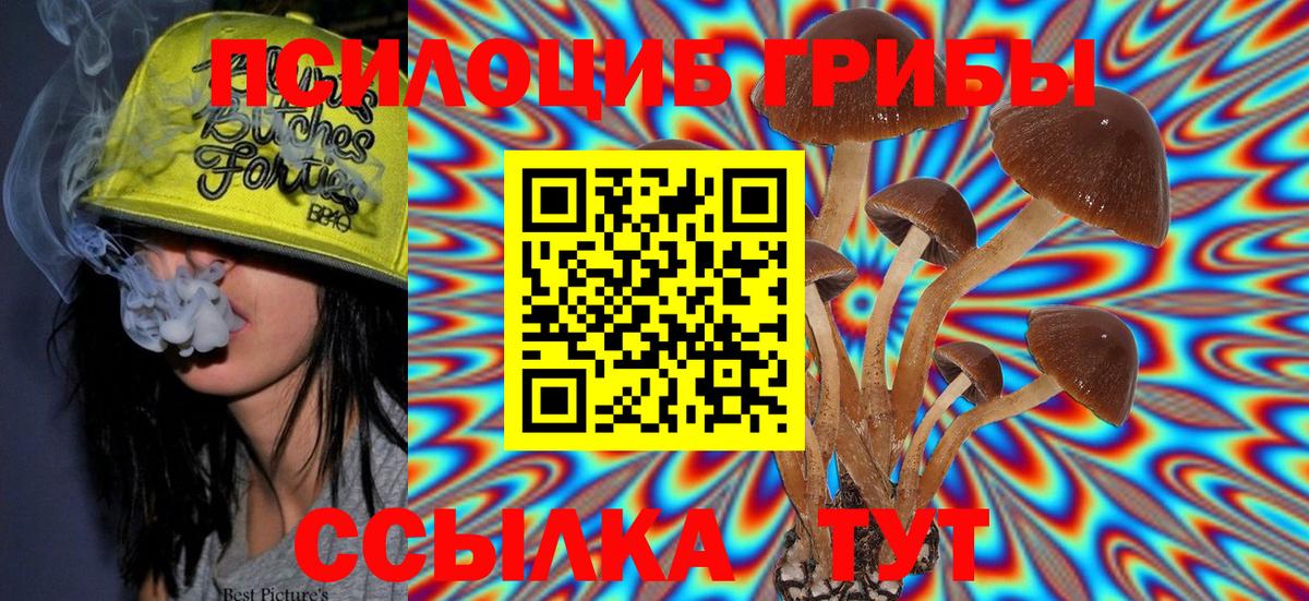 Галлюциногенные грибы Cubensis  Галлюциногенные грибы прущие грибы  Вход с VPN  Ковров 