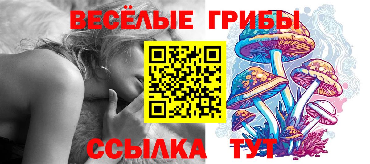 Псилоцибиновые грибы GOLDEN TEACHER Ковров